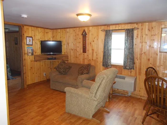 Benzonia Rustic Resort Picture 10