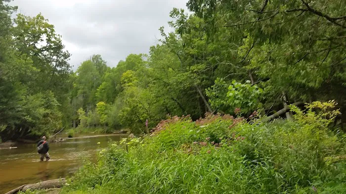 Benzonia Rustic Resort Picture 6