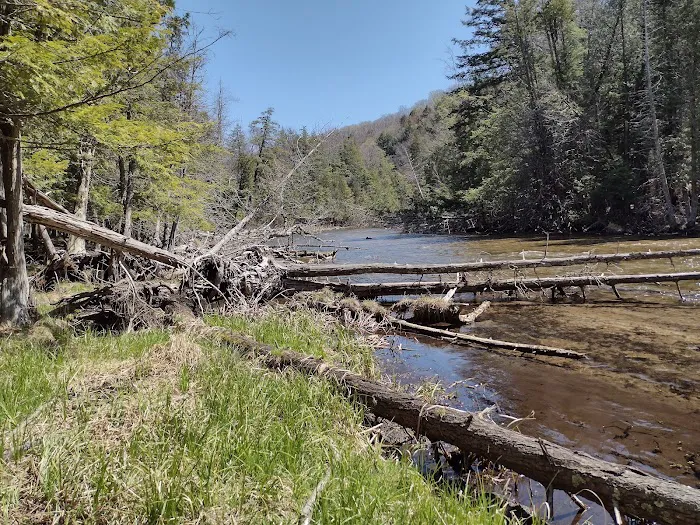 Platte River State Forest Campground Picture 3