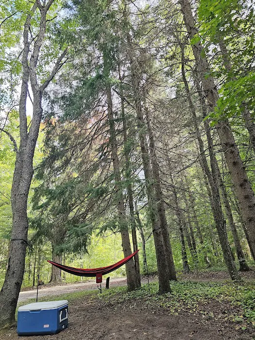 Platte River State Forest Campground Picture 5