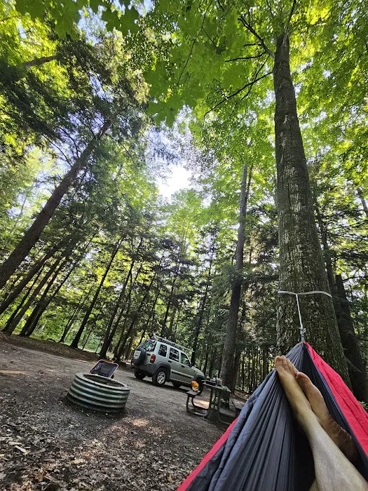 Platte River State Forest Campground Picture 2