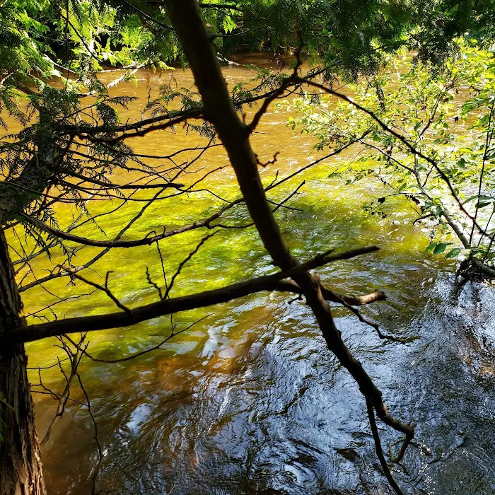 Platte River State Forest Campground Picture 9