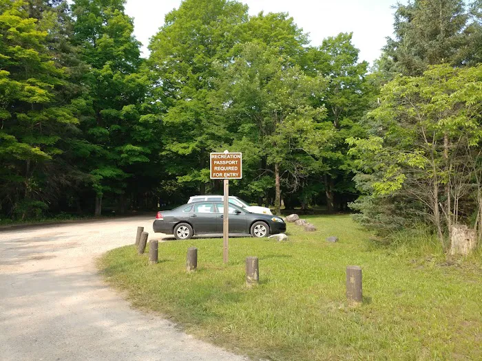 Veterans Memorial State Forest Campground Picture 5