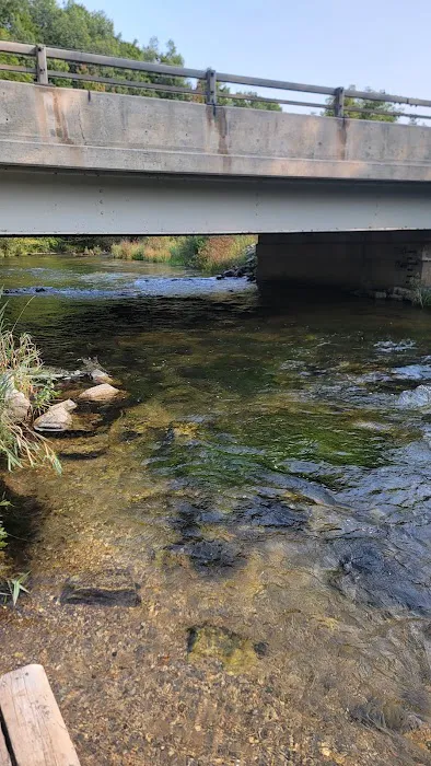 Veterans Memorial State Forest Campground Picture 3