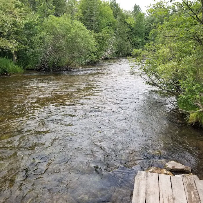 Veterans Memorial State Forest Campground Picture 4
