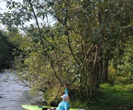 Veterans Memorial State Forest Campground