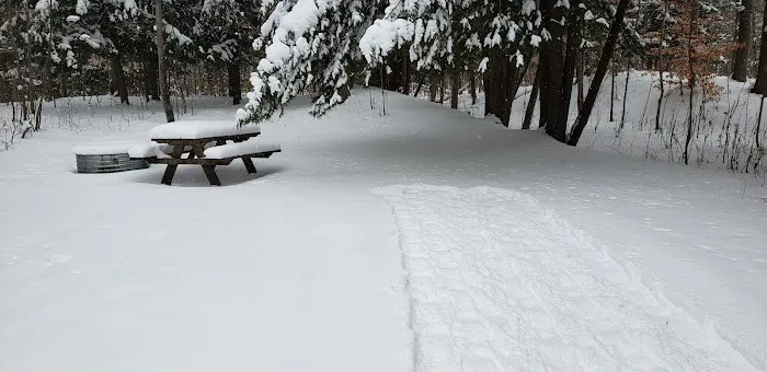 Veterans Memorial State Forest Campground Picture 2