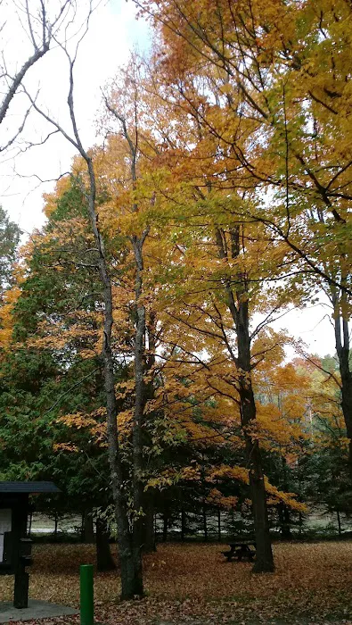 Veterans Memorial State Forest Campground Picture 9