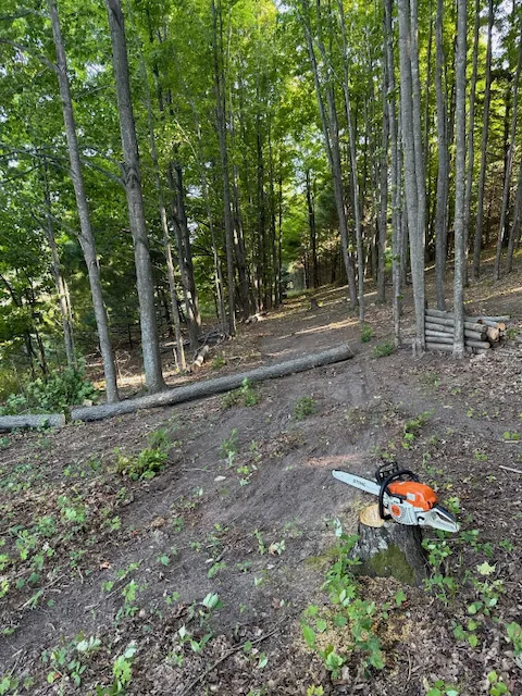 Whiting Park Campground Entrance Picture 6