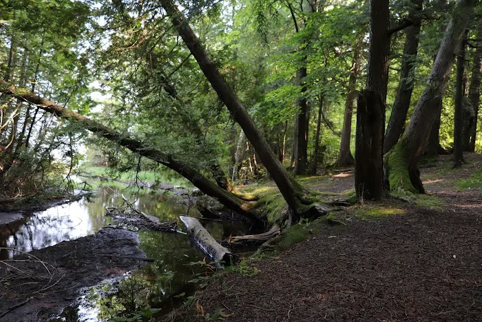 Fisherman's Island State Park South Campground Picture 2