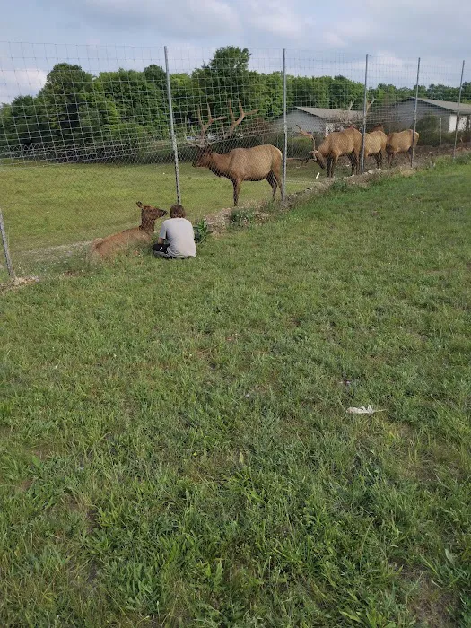 Pickerel Lake State Forest Campground Picture 5