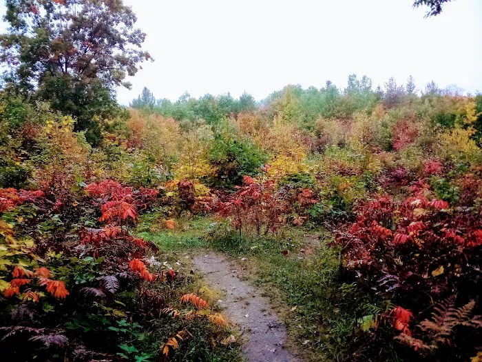 Pickerel Lake State Forest Campground Picture 7