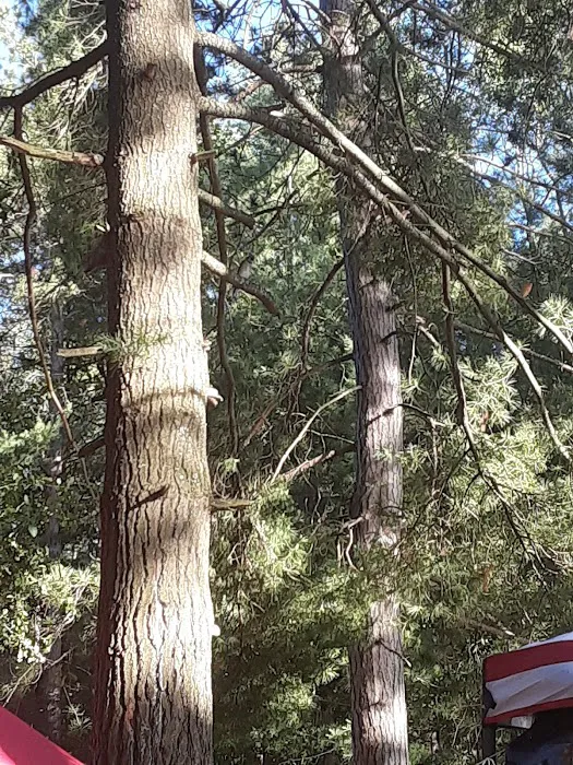 Weber Lake State Forest Campground Picture 8