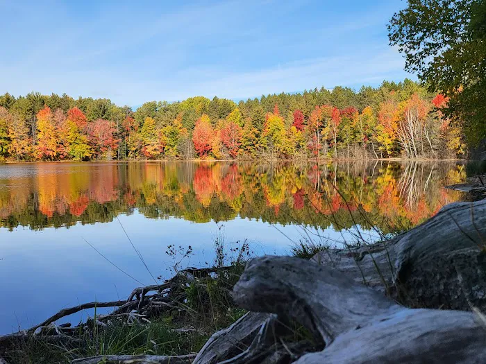 Weber Lake State Forest Campground Picture 9