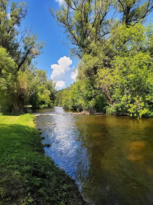 Sturgeon River Campground Picture 7