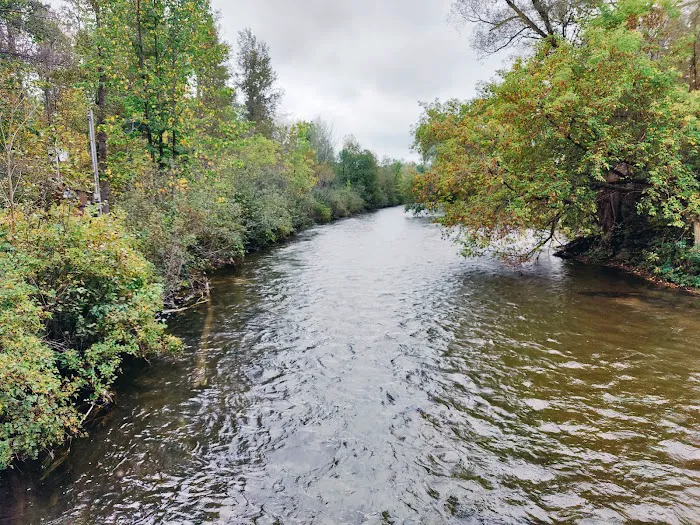 Sturgeon River Campground Picture 4