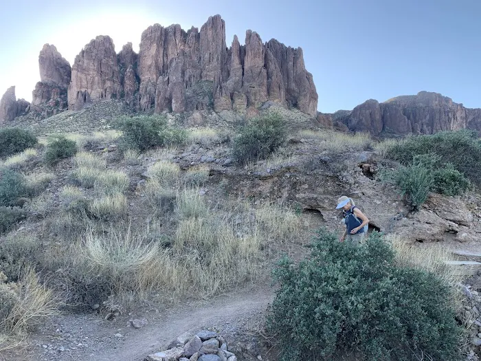 Petoskey State Park Campground Picture 3