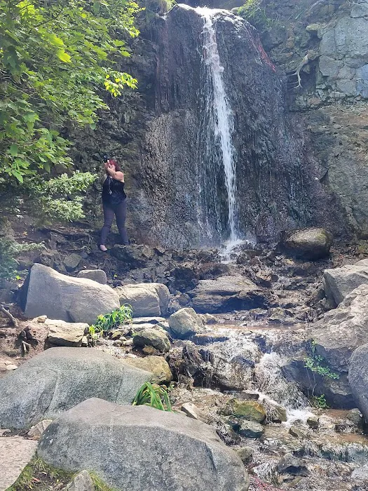 Petoskey State Park Campground Picture 6