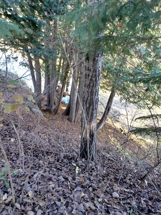 Haakwood State Forest Campground Picture 1