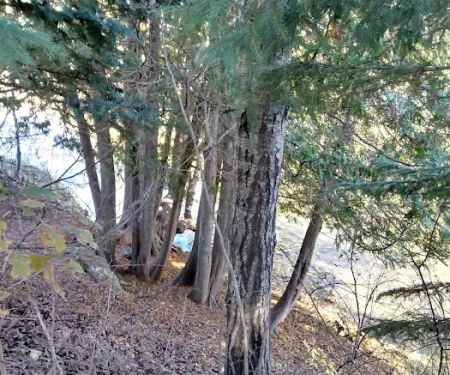 Haakwood State Forest Campground