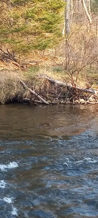 Haakwood State Forest Campground Picture 3