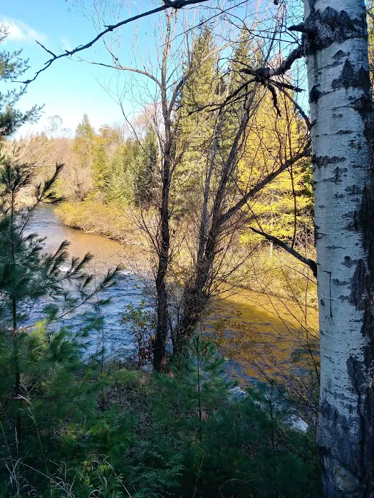 Haakwood State Forest Campground Picture 2