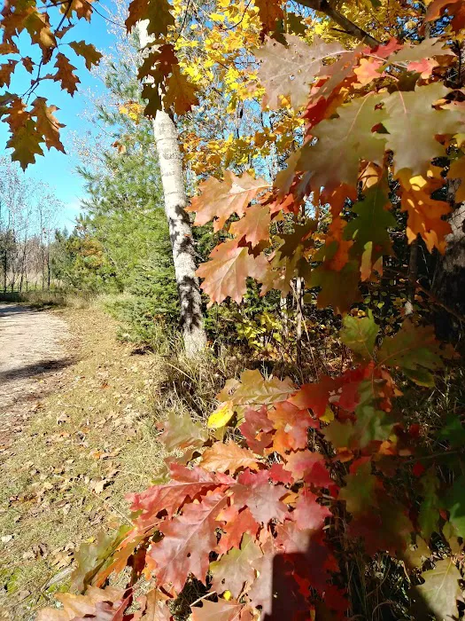 Haakwood State Forest Campground Picture 4