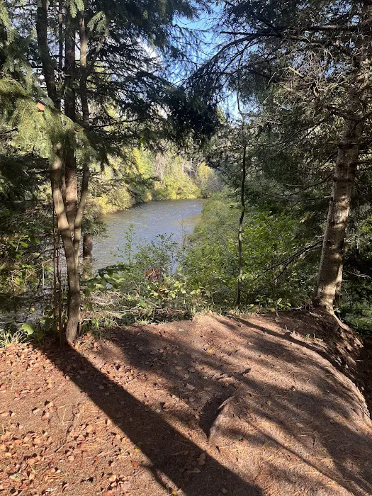 Haakwood State Forest Campground Picture 10