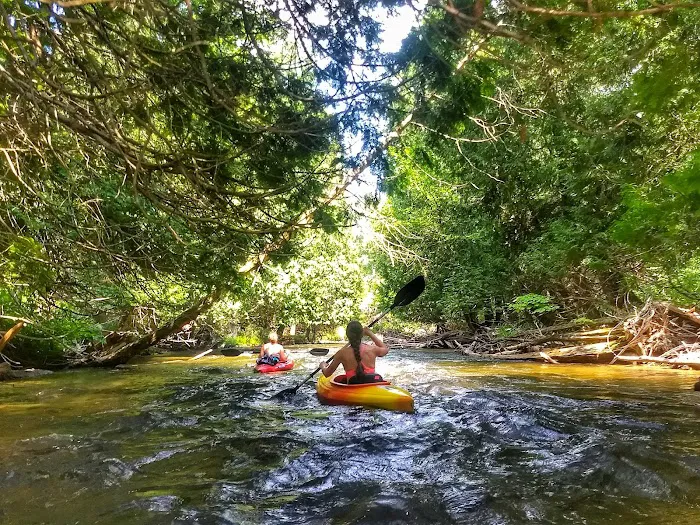 Haakwood State Forest Campground Picture 8