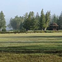 Camp Pet-O-Se-Ga ico