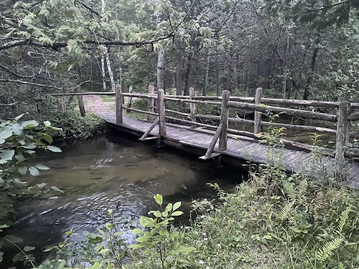 Camp Pet-O-Se-Ga Picture 7