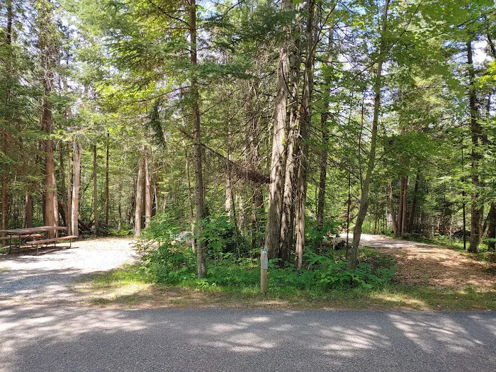 Camp Pet-O-Se-Ga Picture 6