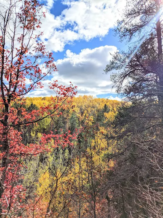 Tomahawk Lake State Forest Campground Picture 1