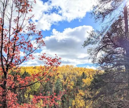Tomahawk Lake State Forest Campground