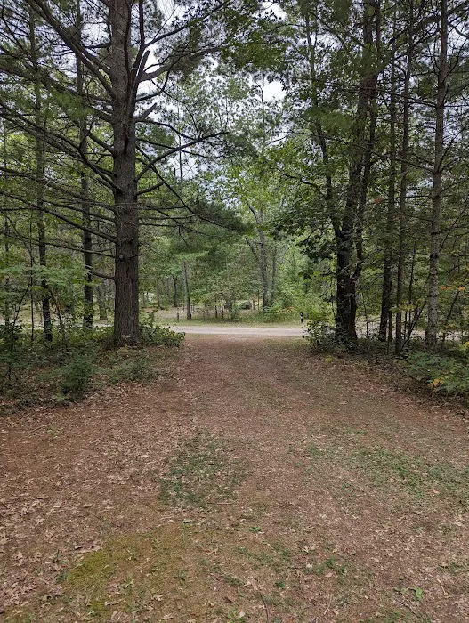 Shoepac Lake State Forest Campground Picture 1