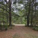 Shoepac Lake State Forest Campground