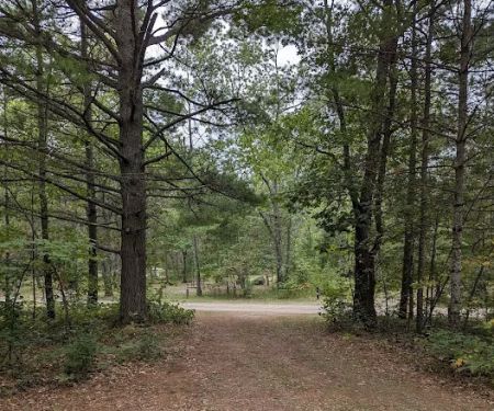 Shoepac Lake State Forest Campground