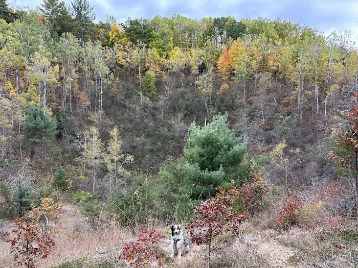 Shoepac Lake State Forest Campground Picture 8
