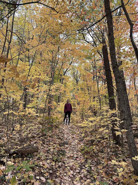 Shoepac Lake State Forest Campground Picture 10