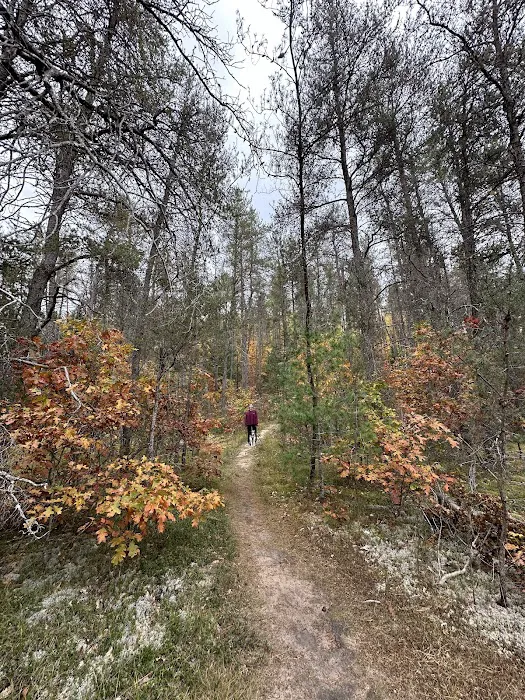 Shoepac Lake State Forest Campground Picture 9