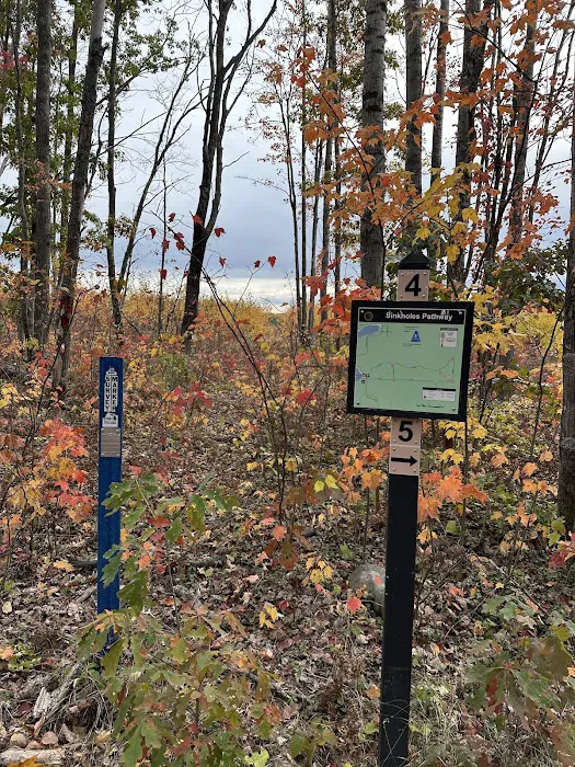 Shoepac Lake State Forest Campground Picture 6