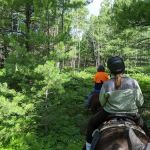 Elk Hill Group Equestrian Campground