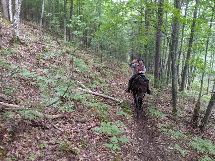 Elk Hill Group Equestrian Campground Picture 3