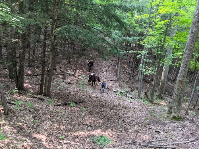 Elk Hill Group Equestrian Campground Picture 10