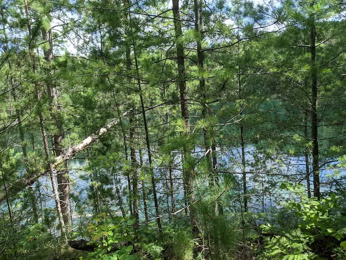 Elk Hill Group Equestrian Campground Picture 6