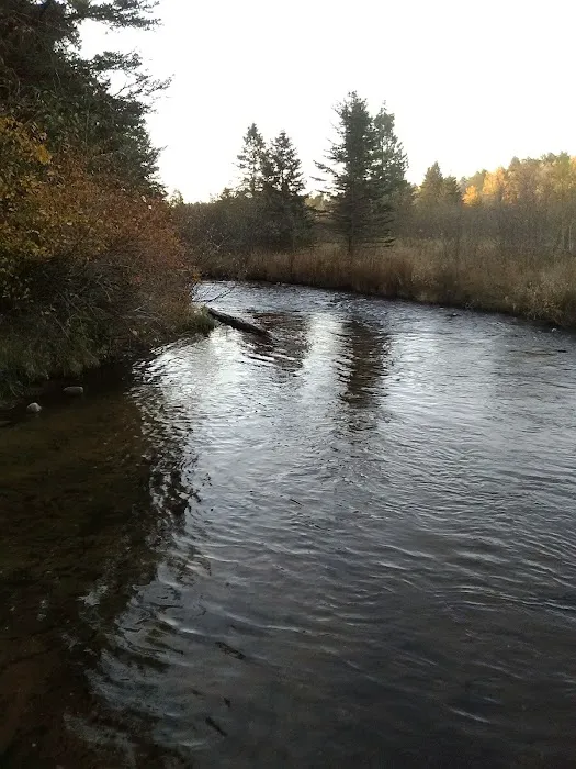 Elk Hill Equestrian State Forest Campground and Trail Camp Picture 2