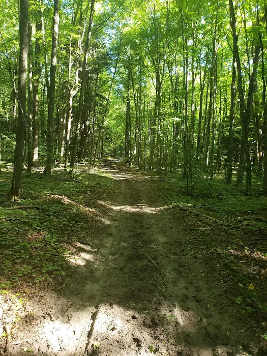 Elk Hill Equestrian State Forest Campground and Trail Camp Picture 7