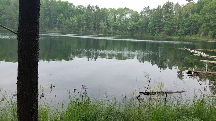 Elk Hill Equestrian State Forest Campground and Trail Camp Picture 3