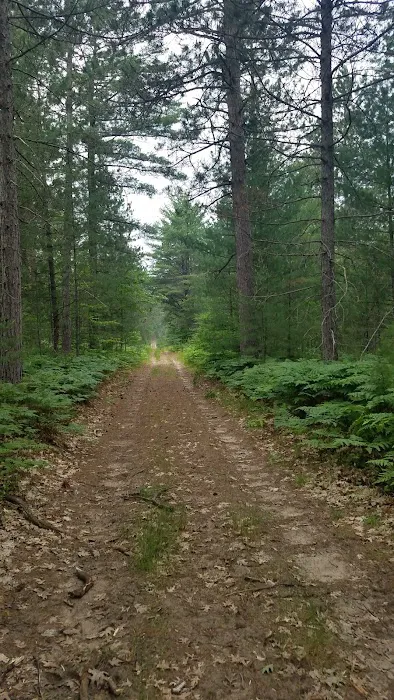 Elk Hill Equestrian State Forest Campground and Trail Camp Picture 9