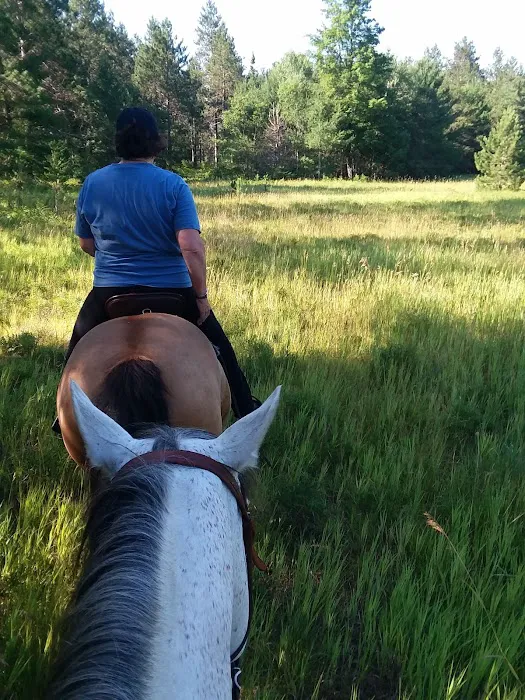 Elk Hill Equestrian State Forest Campground and Trail Camp Picture 10